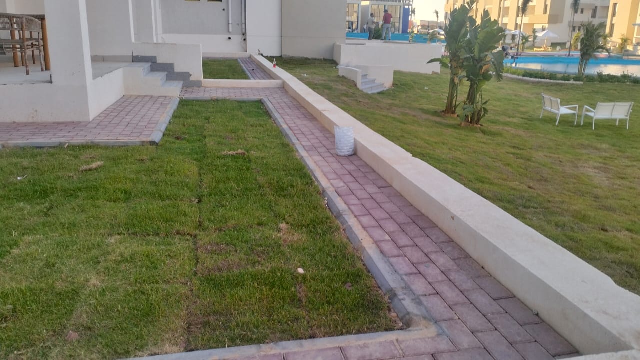 صورة 2